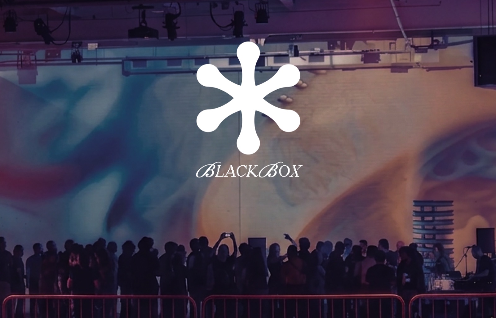 BLACKBOX: an audience in silhouette against a projected wall