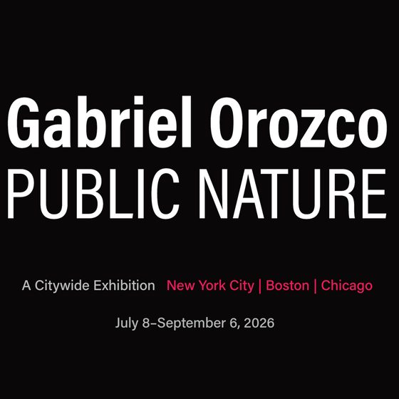 Gabriel Orozco, Public Nature