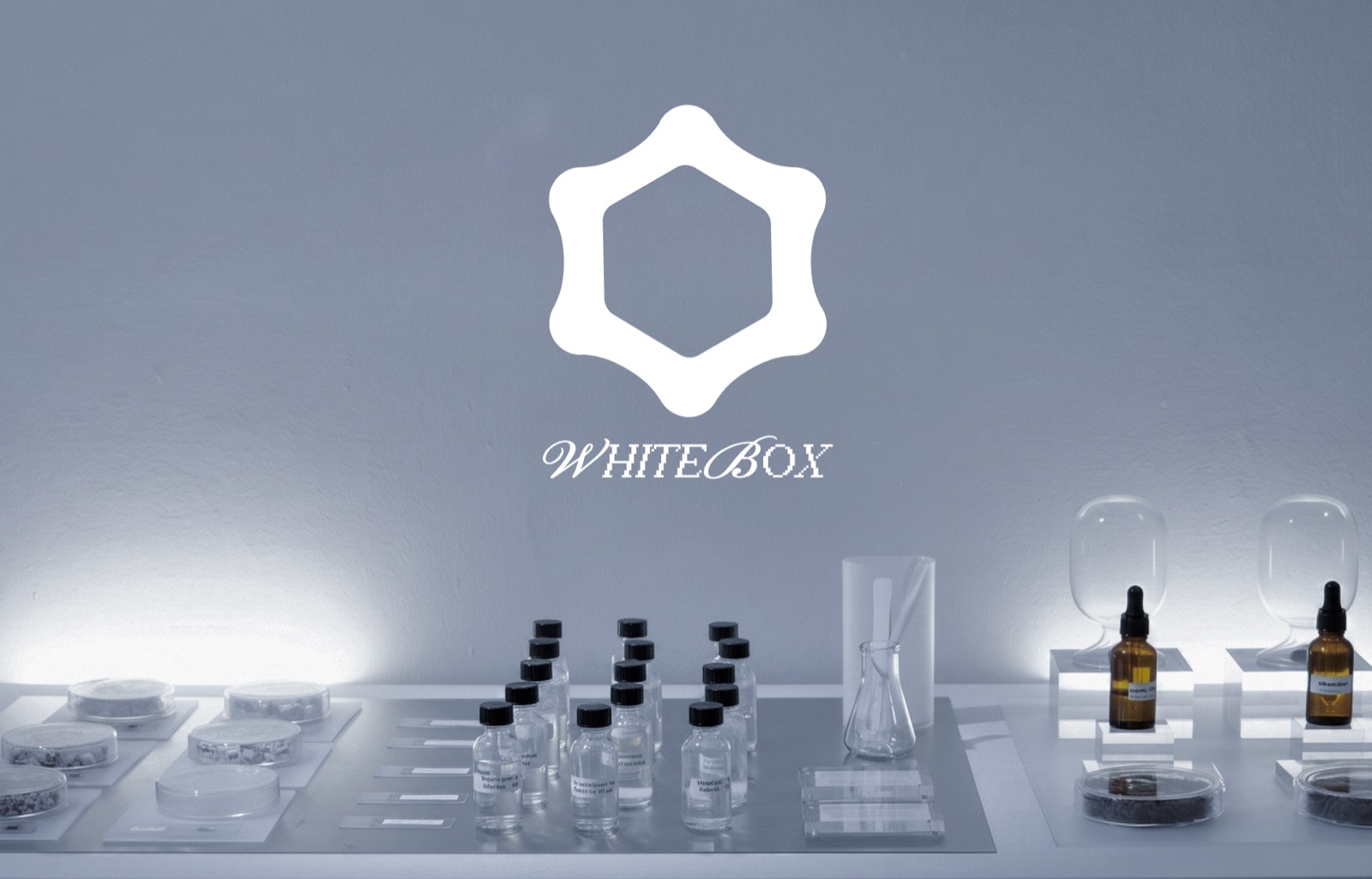 WHITEBOX: a lit lab bench of petri dishes, sample bottles and a flask